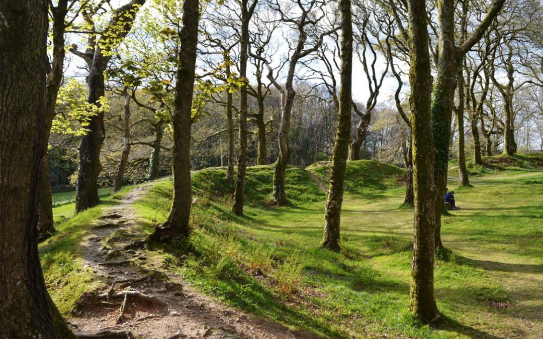 The Axe Valley, Seaton Bay and tramway | Chandler's Cottage