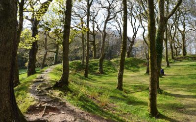 An enchanting woodland walk with echoes from the Iron Age